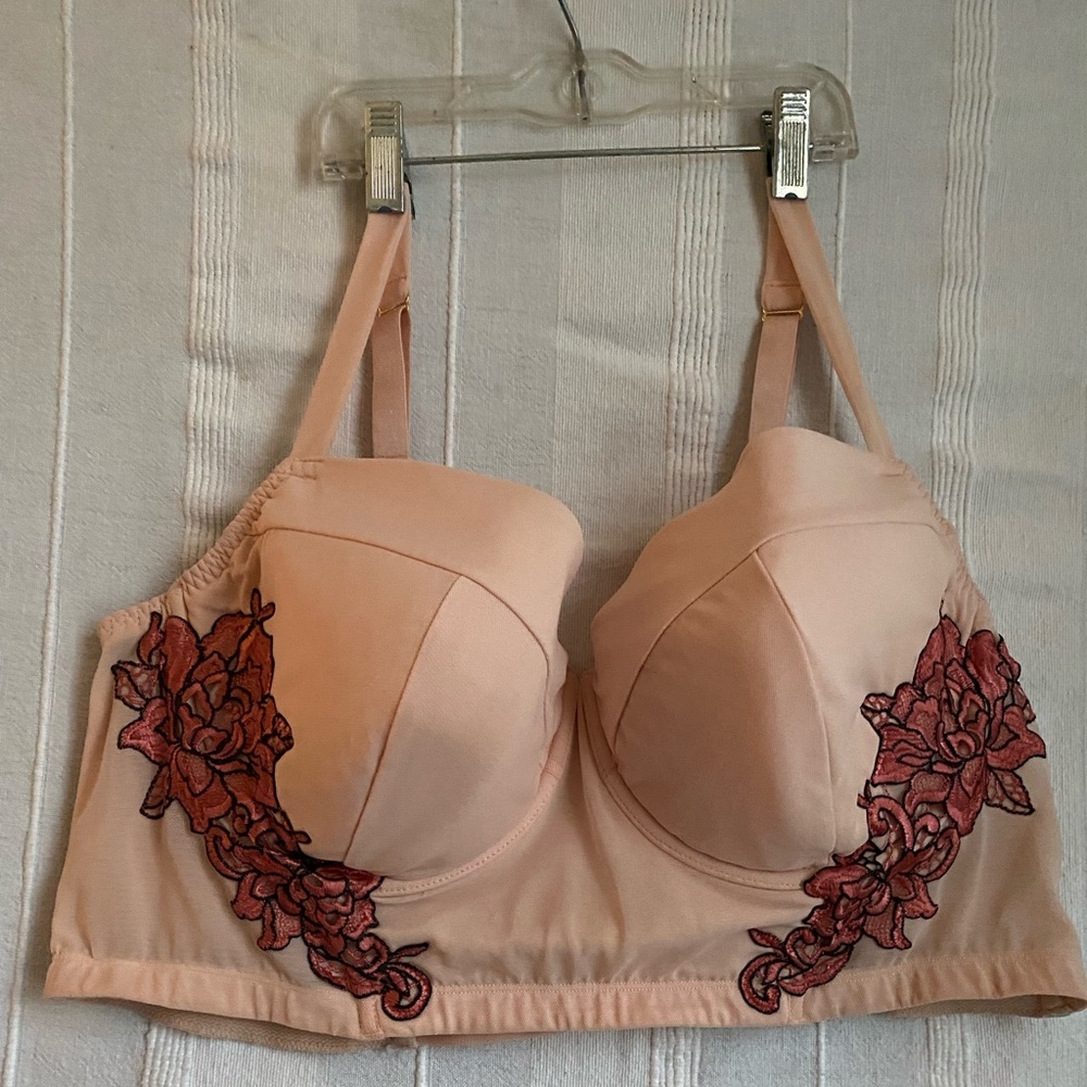 42DD Bra.